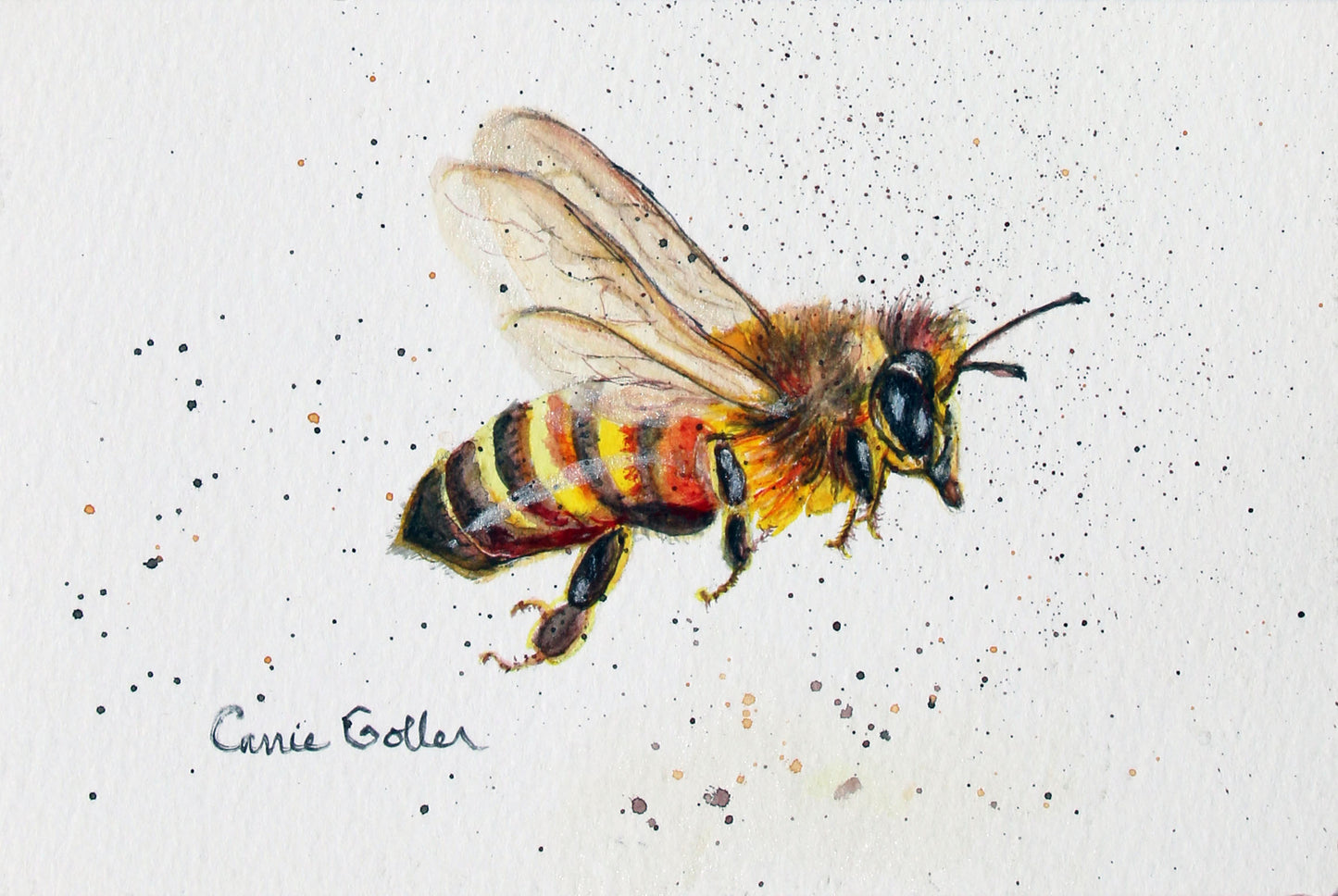 Prints available, original ***SOLD*** Pollenatrix - Watercolor 4x6