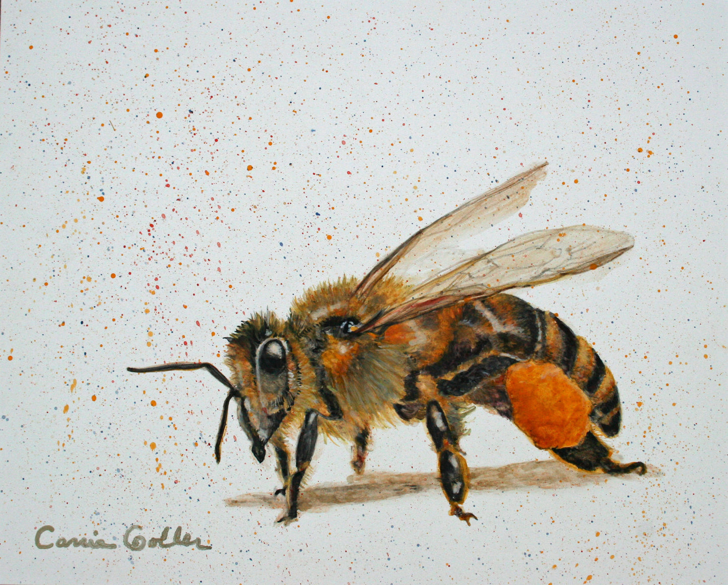 Prints available, original ***SOLD*** Bumblebee - Egg Tempera - 8x10 (framed)