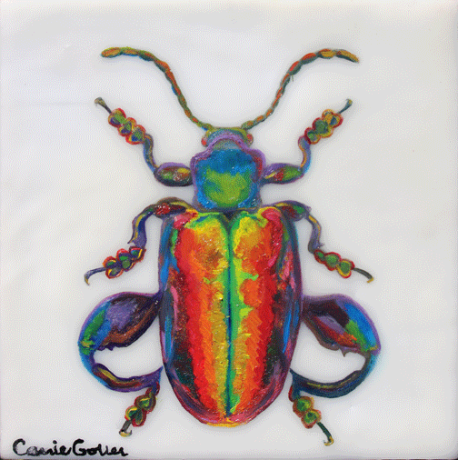 Prints available, original ***SOLD*** Pride Beetle - Encaustic & Oil 6.5x6.5
