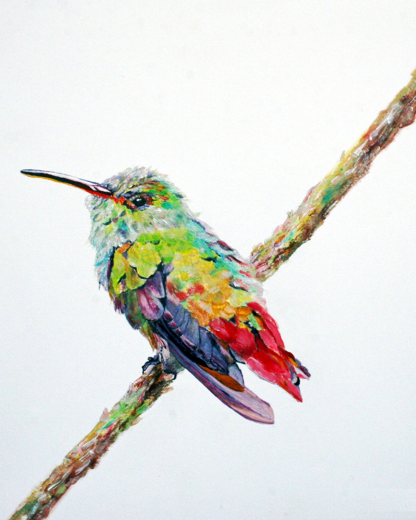 CARRIE GOLLER PRINTS - BIRDS - RAINBOW  II  original oil, 8x10