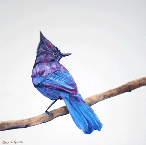 Prints available, original ***SOLD*** Rocky - Oil 12x12 - AVAILABLE AT BAINBRIDGE ISLAND MUSEUM OF ART STORE