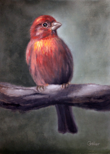 Prints available, original ***SOLD*** Carrie Goller - Rojo, oil 7x5