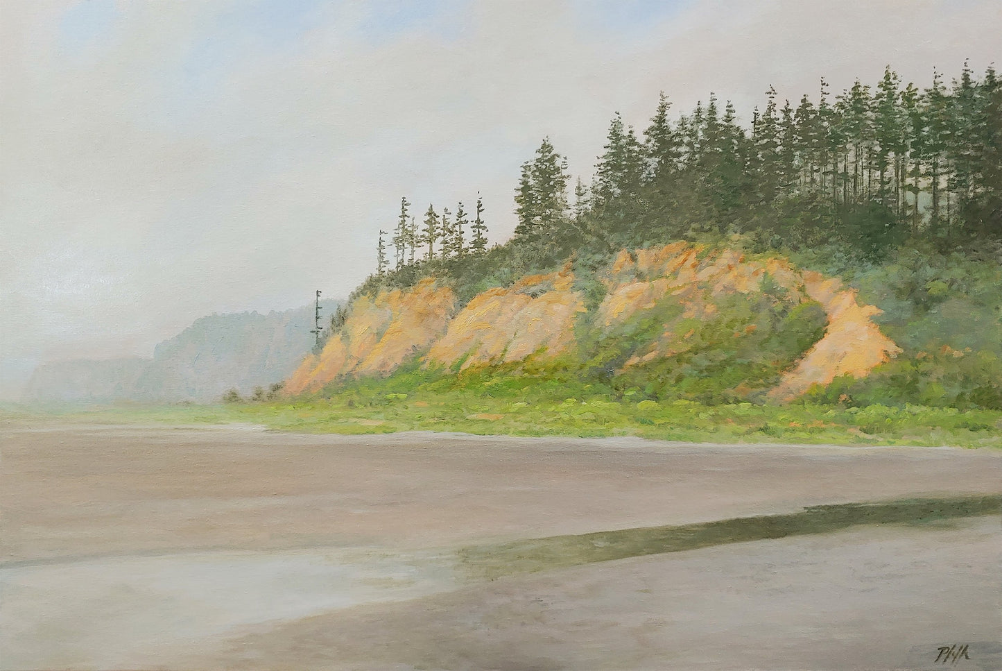 TIM PFEIFFER - Roosevelt Beach, oil 20x30 (framed)