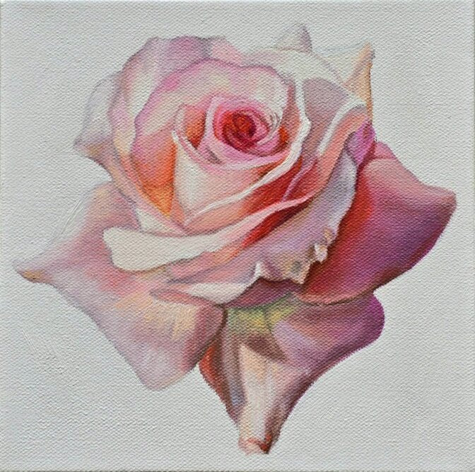 ***SOLD** Jody Yashenko - Rose, oil 8x8