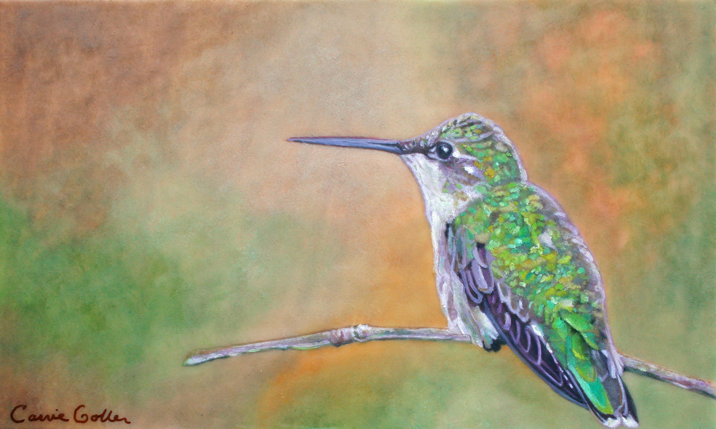 CARRIE GOLLER PRINTS - BIRDS - RUFOUS    original encaustic, 8.5x14