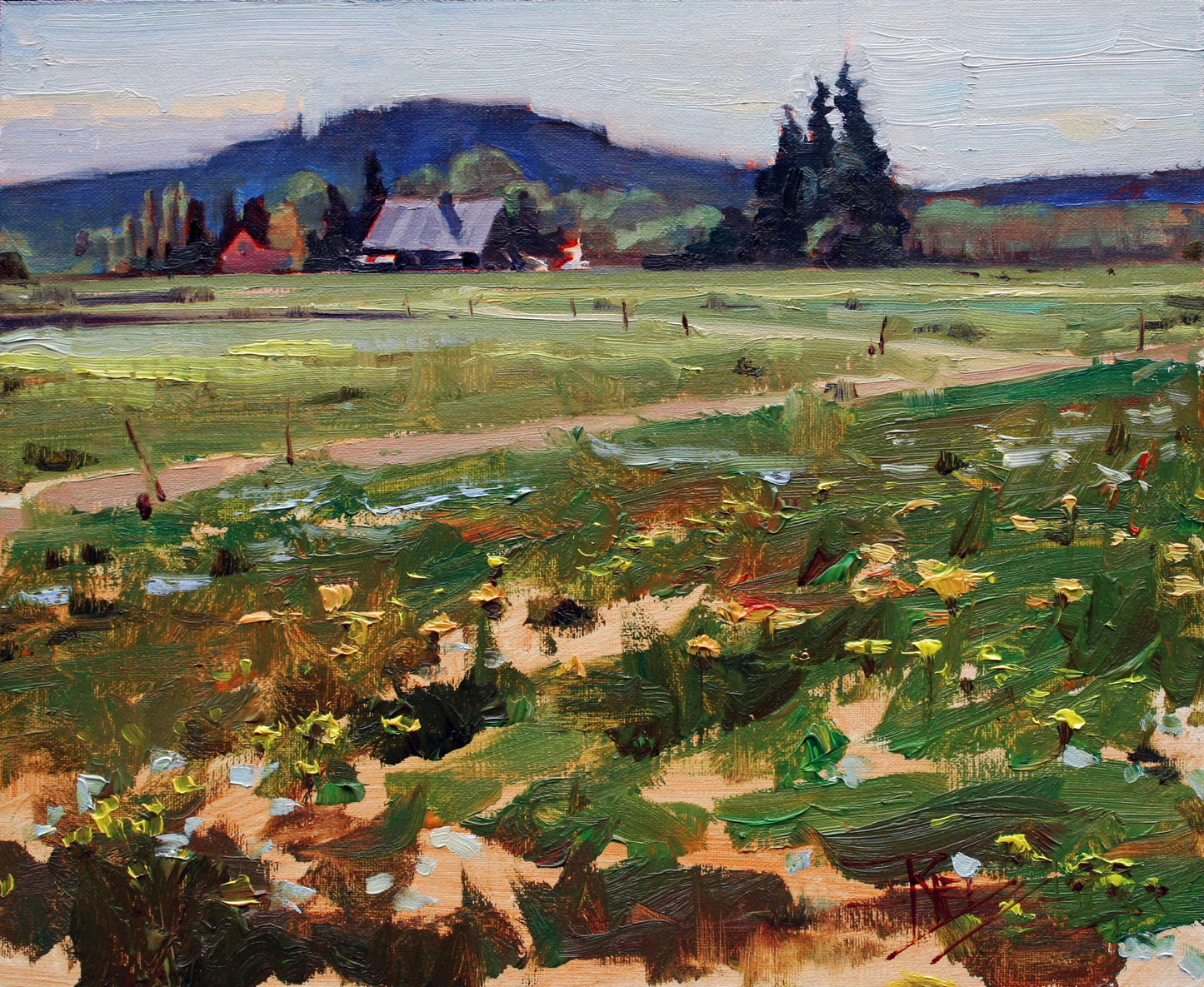 ROBIN WEISS Skagit Valley Farm, Oil - 10x8