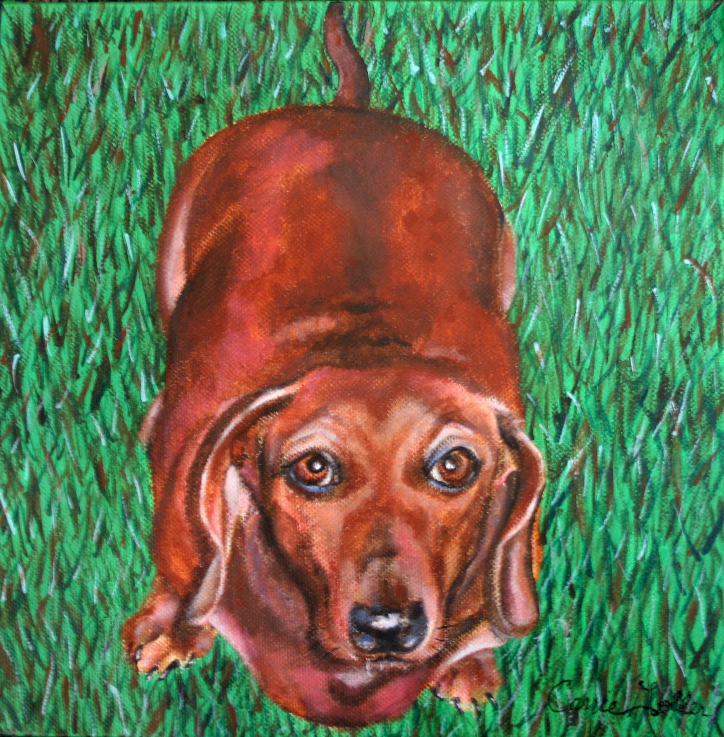 ***SOLD*** Snookie Begging II, oil 10x10 (Dachshund)