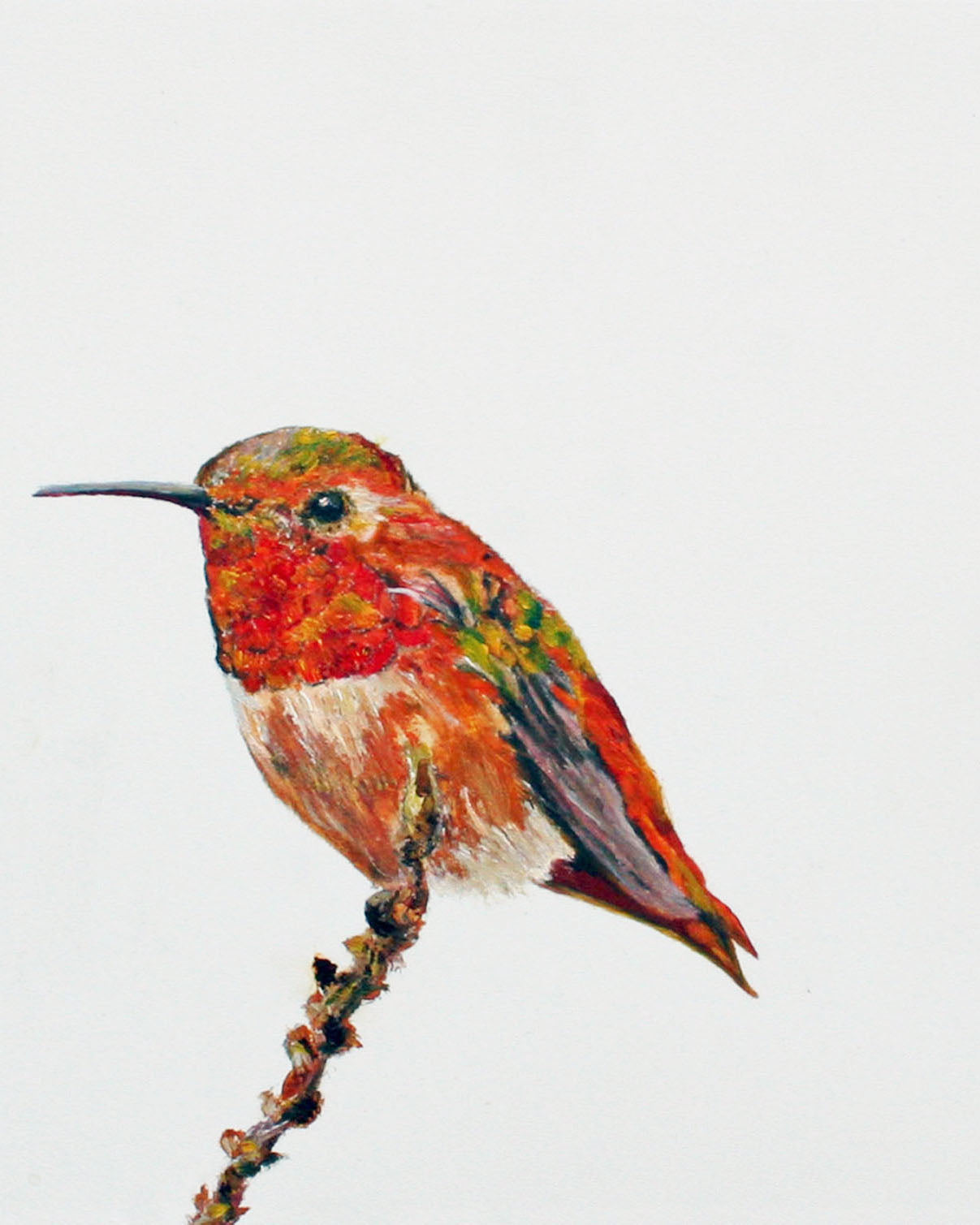 CARRIE GOLLER PRINTS - BIRDS - SWIZZELSTICK    original oil, 8x10