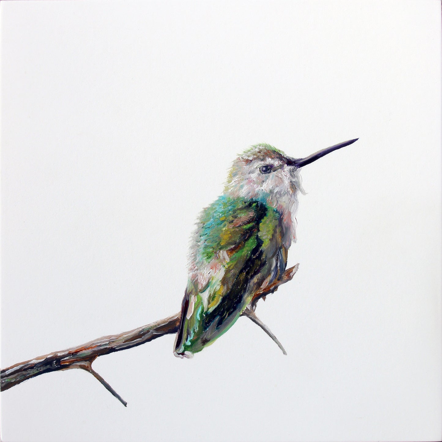 Prints available, original ***SOLD*** Thornbeak - Oil 8x8  (previously part of Bainbridge Island Museum of Art solo summer exhibit 2018)