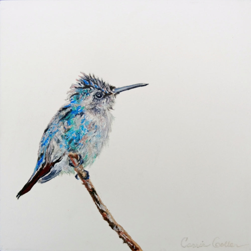 CARRIE GOLLER PRINTS - BIRDS - TOULOUSE original oil, 8x8