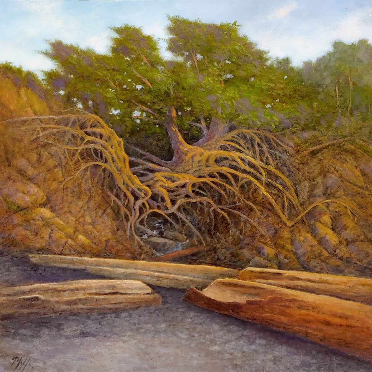 TIM PFEIFFER - Tree of Life, oil on 1 1/2" deep gallery wrap canvas 24x24 (framed)