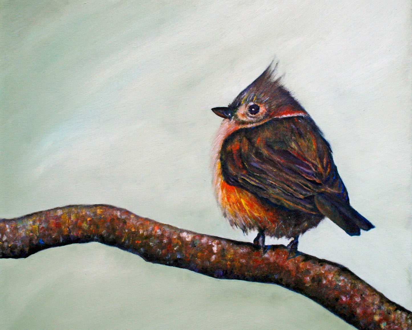 CARRIE GOLLER PRINTS - BIRDS -TUFTED TITMOUSE  original  oil, 8x10