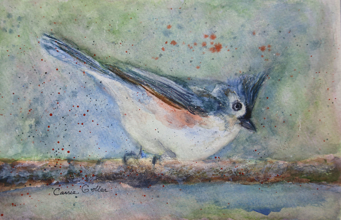 Prints available, original ***SOLD*** Carrie Goller - Tufted Titmouse on Perch - Watercolor Original Framed 5.5x8.5