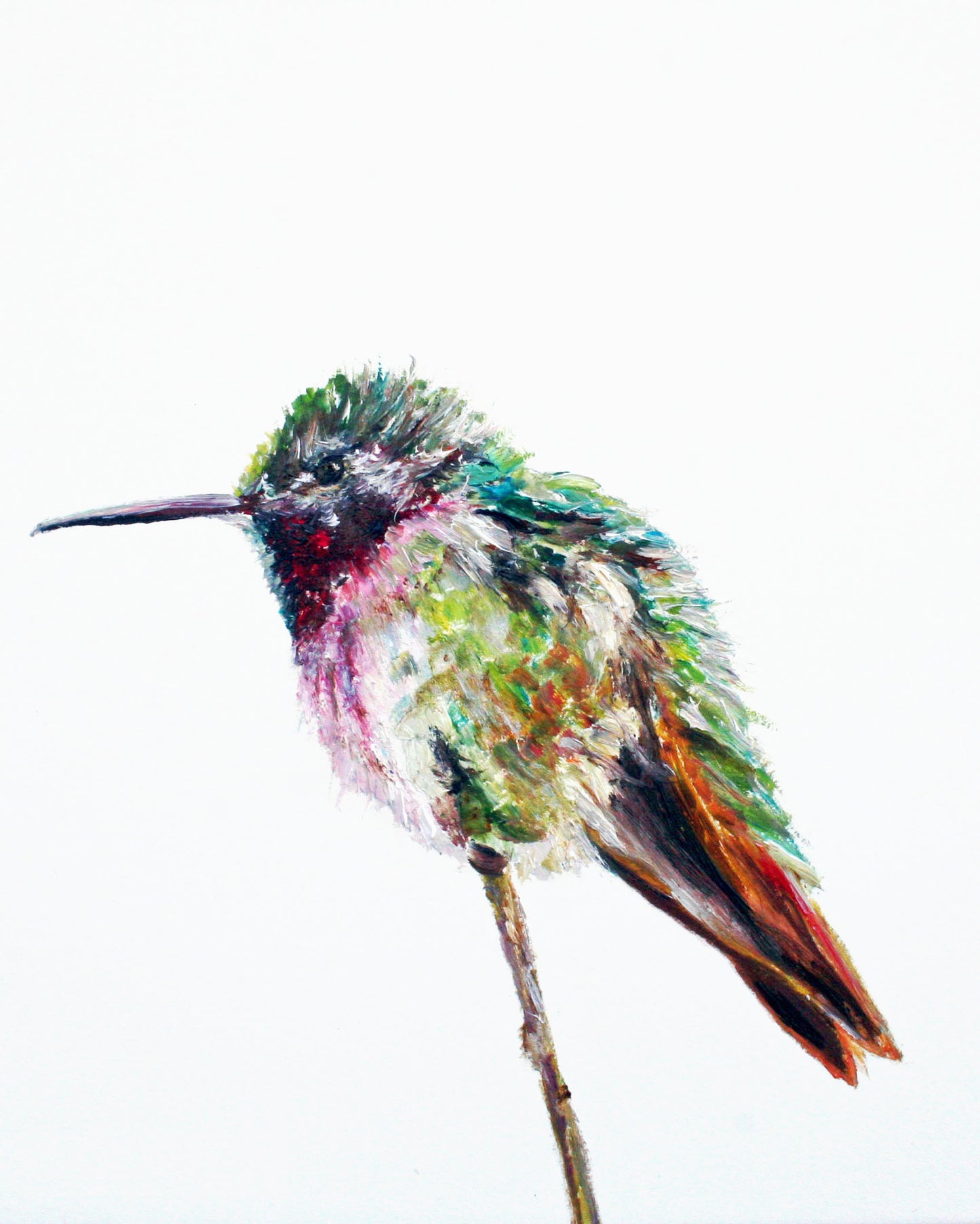 CARRIE GOLLER PRINTS - BIRDS - TWIGGY    original oil, 8x10