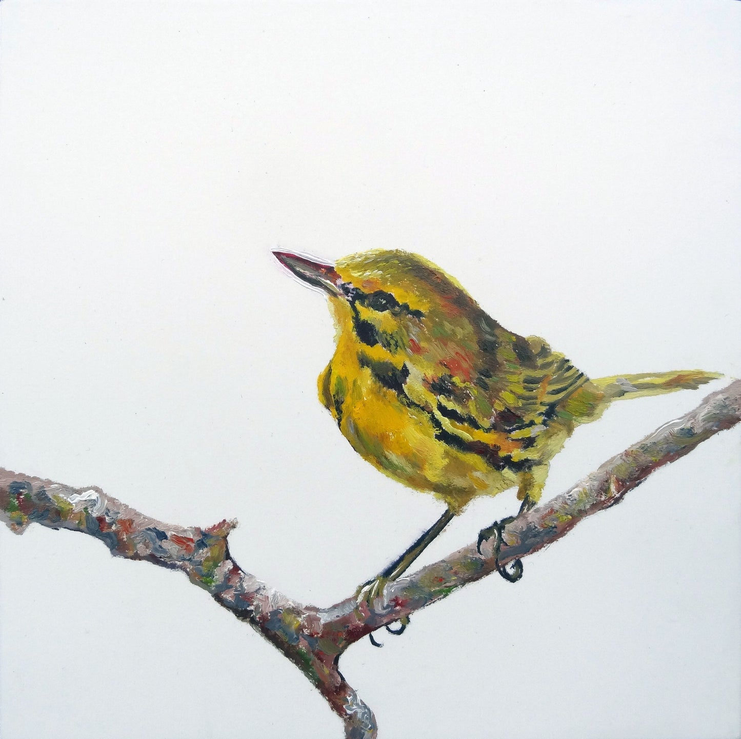 CARRIE GOLLER PRINTS - BIRDS - TWIGGY II original oil, 8x8