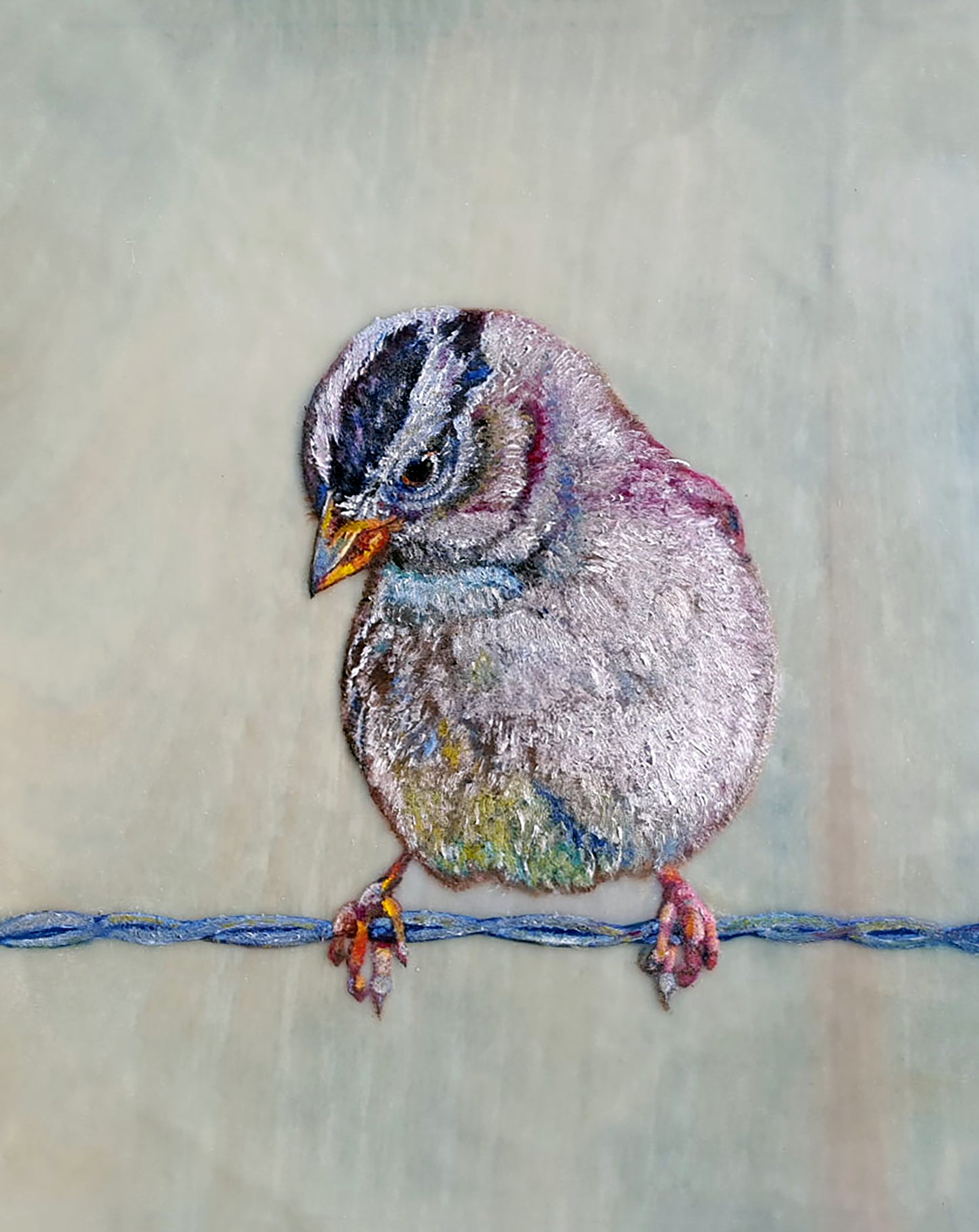 CARRIE GOLLER PRINTS - BIRDS - WHITE CROWNED SPARROW   original oil/encaustic, 8x10