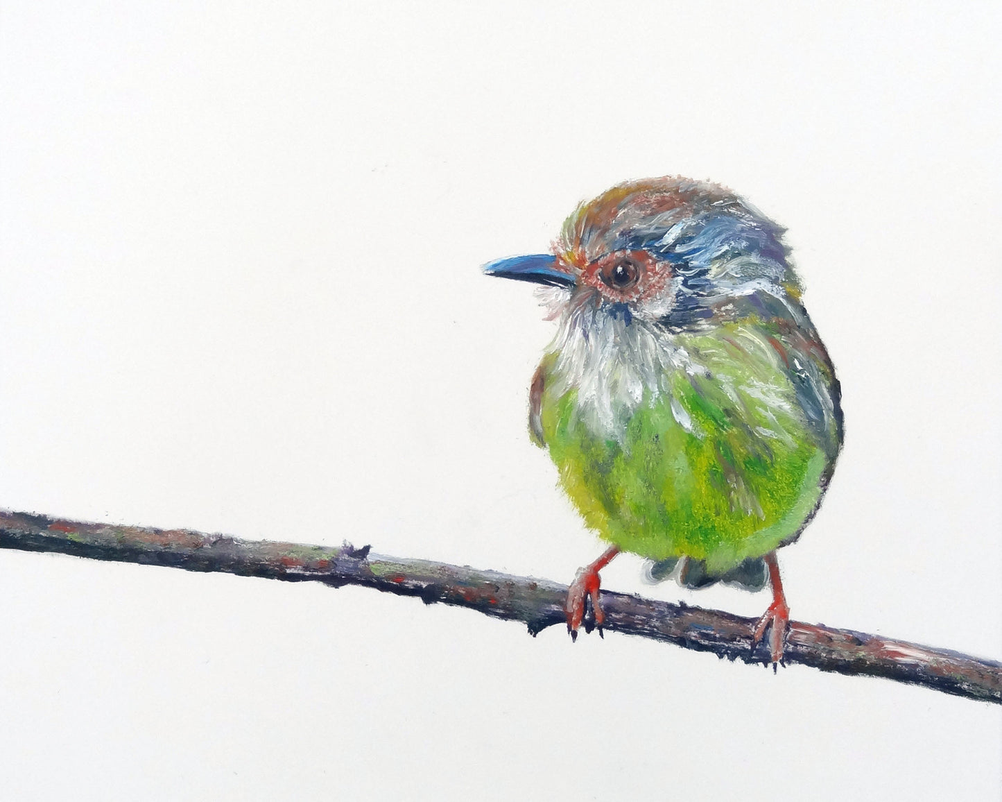 Wiki - CARRIE GOLLER  PRINT - BIRDS