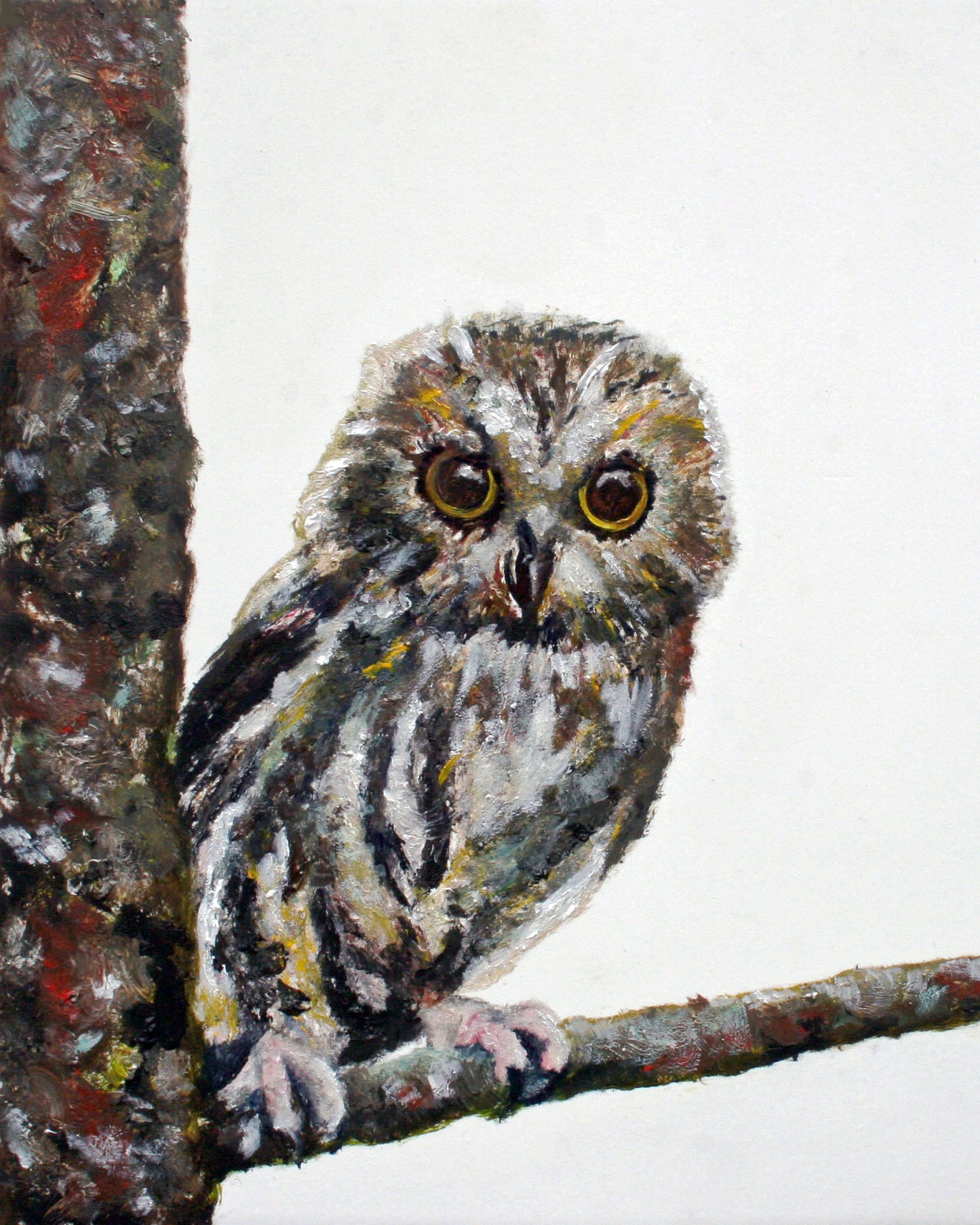 Wink - CARRIE GOLLER PRINT - BIRDS