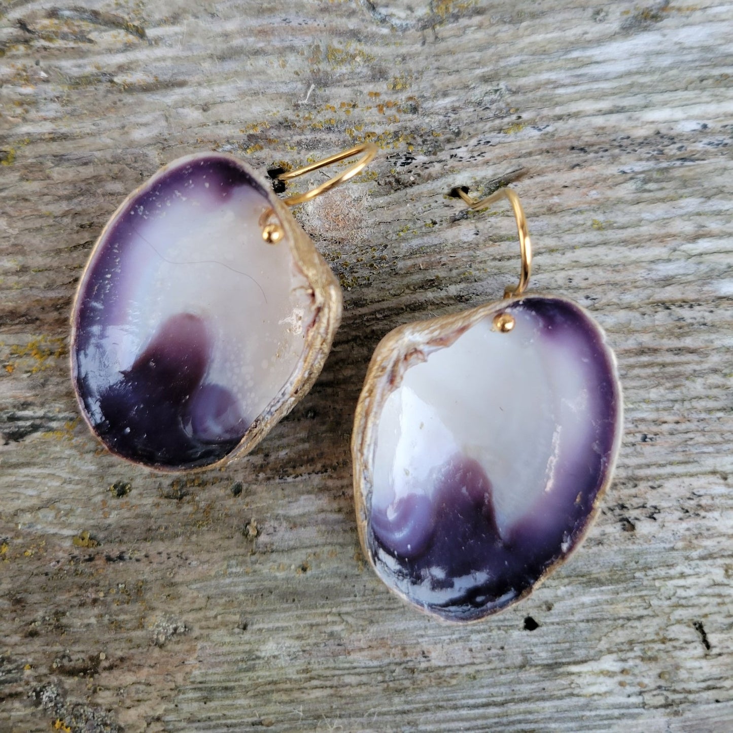 Hood Canal Seashell Earrings - Carrie Goller