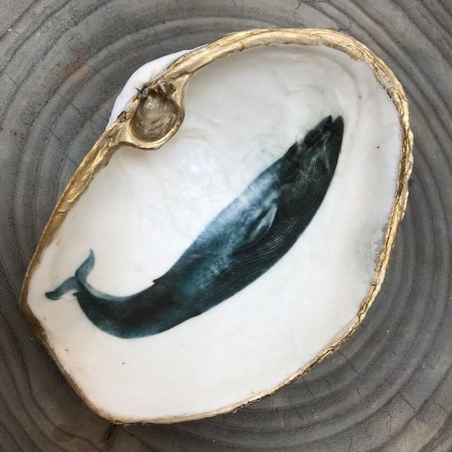 ***SOLD***Hood Canal Seashell - Large Clam with 18k Gold Trim - Carrie Goller