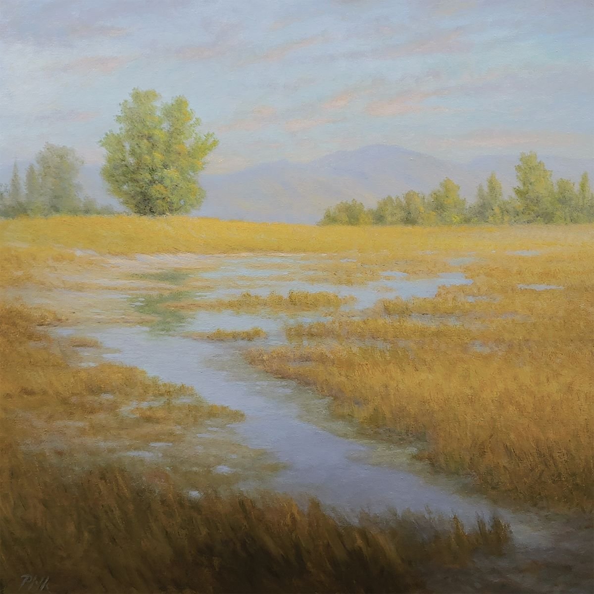 TIM PFEIFFER -Spring, oil on 1 1/2" deep gallery wrap canvas 24x24