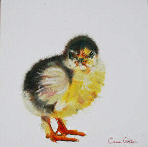 CARRIE GOLLER PRINTS - CREATURES - GIBLET original oil, 8x8