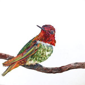 Wingman - CARRIE GOLLER  PRINT - BIRDS