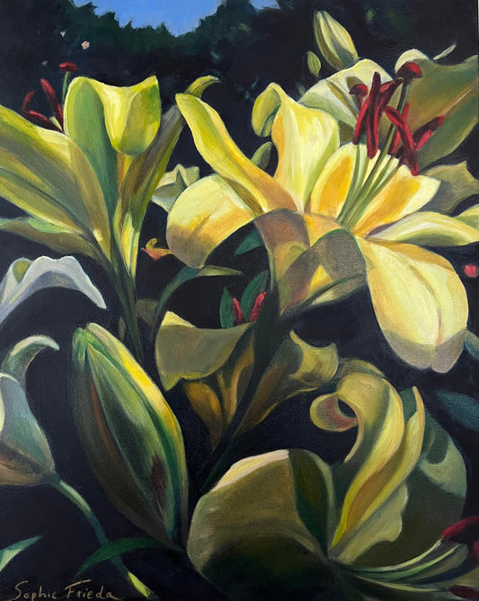 SOPHIE FRIEDA - Sun Drenched Lilies, Oil on canvas 24x30