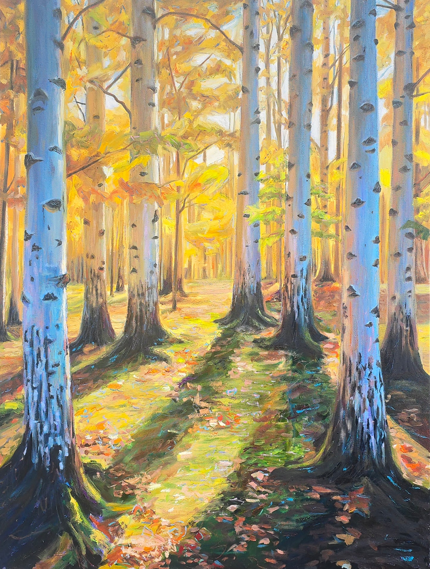 ***SOLD***Jody Yashenko - Birch, Oil on gallery wrapped canvas (framed), 30x40