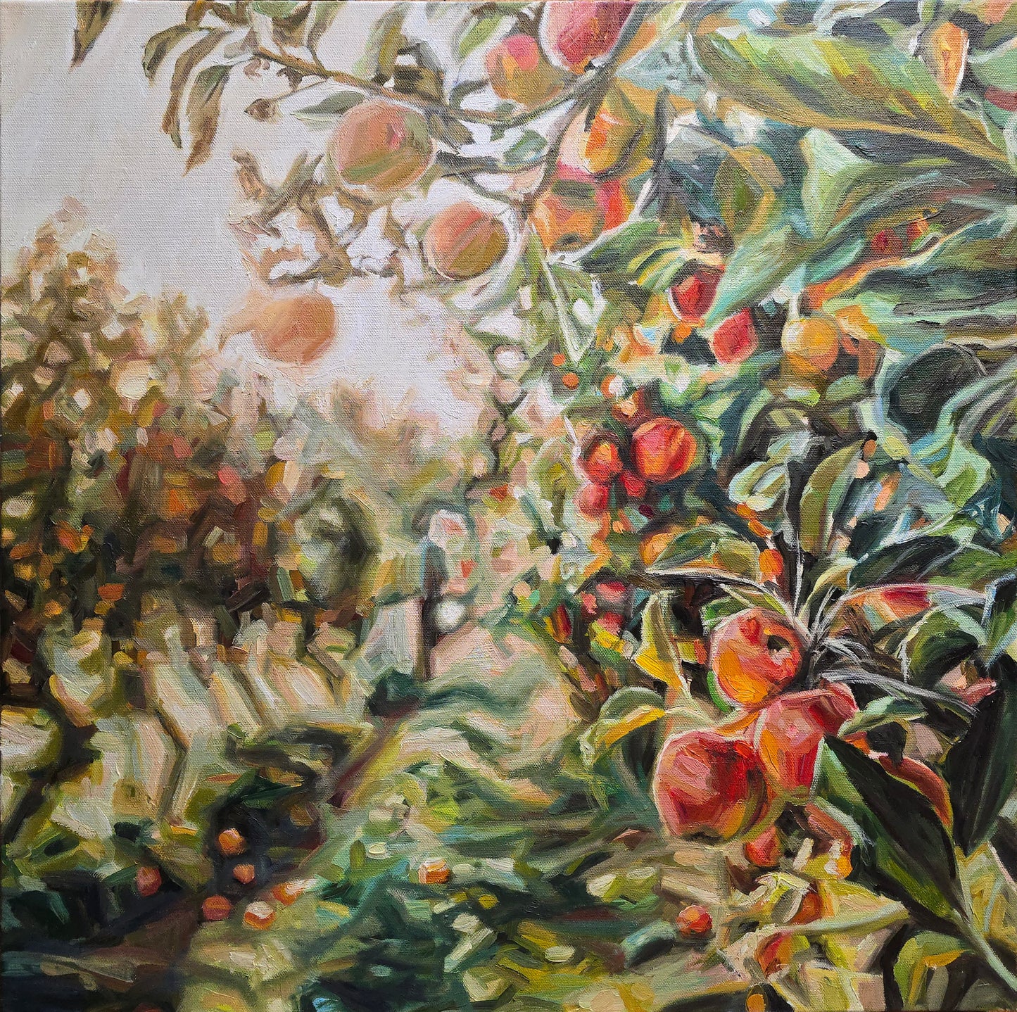 Jody Yashenko - "Julian's Orchard", Oil on gallery wrapped canvas (framed) 24x24