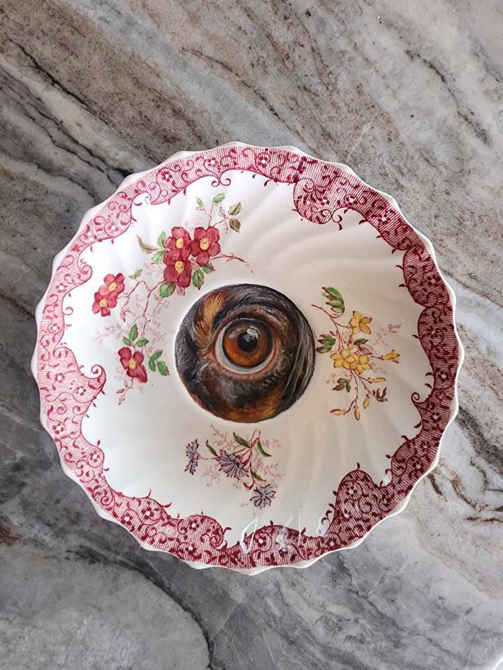 Custom: EyeConic Pet Portraits by Carrie Goller