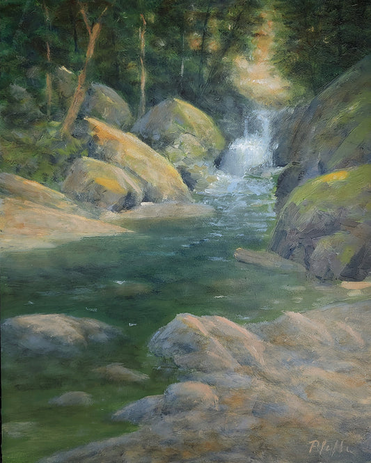 TIM PFEIFFER - Above Nooksack Falls, WA, oil on panel 8 x 10 (framed)