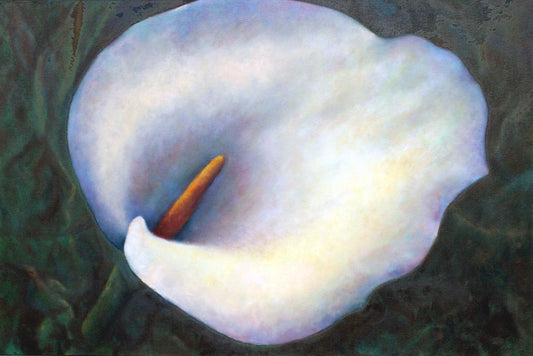 CARRIE GOLLER PRINTS - Blanca, Original 24"x 36"