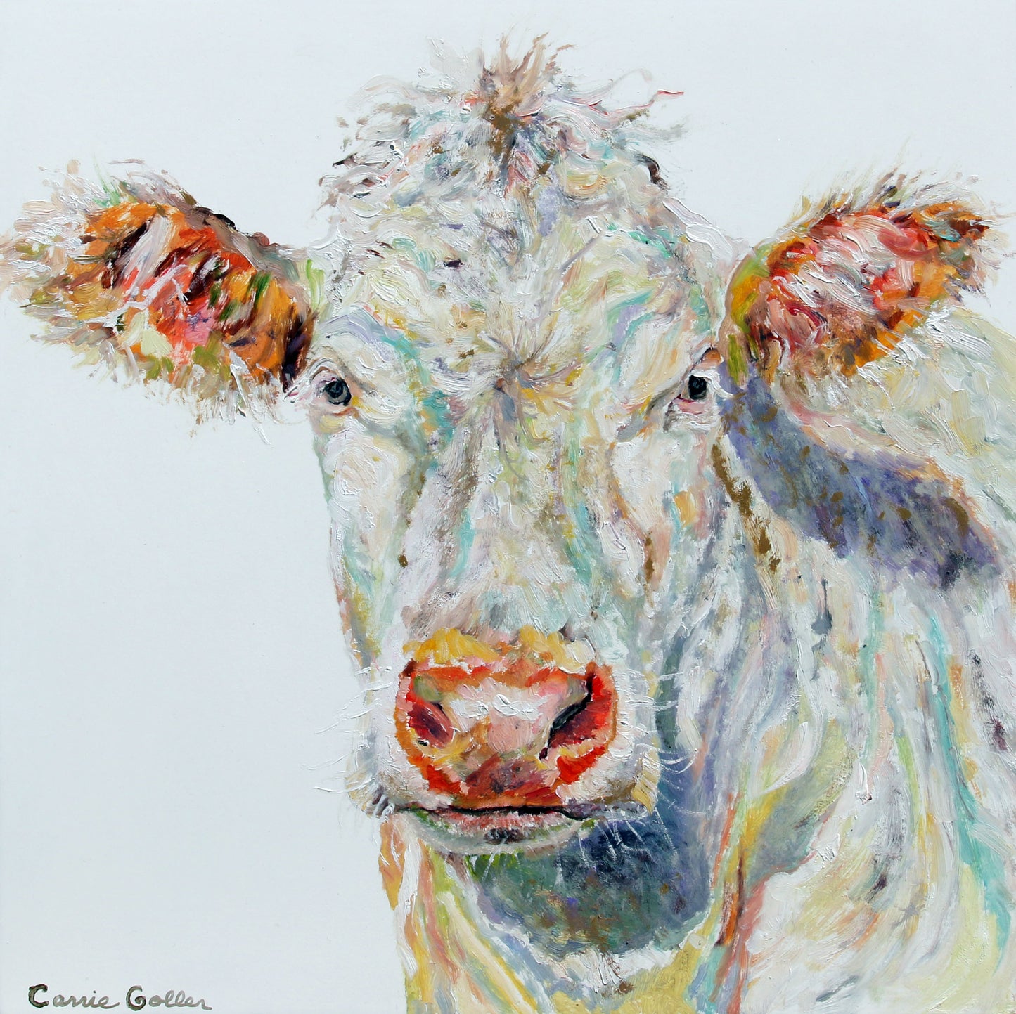 Prints available, originial ***SOLD*** Blanche, oil 12x12