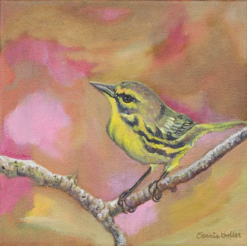 Prints available, original ***SOLD*** Carrie Goller - Buttermilk, oil (framed) 8x8