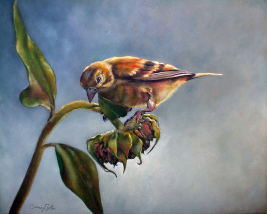 CARRIE GOLLER PRINTS - BIRDS - FINCH    original oil, 24X30
