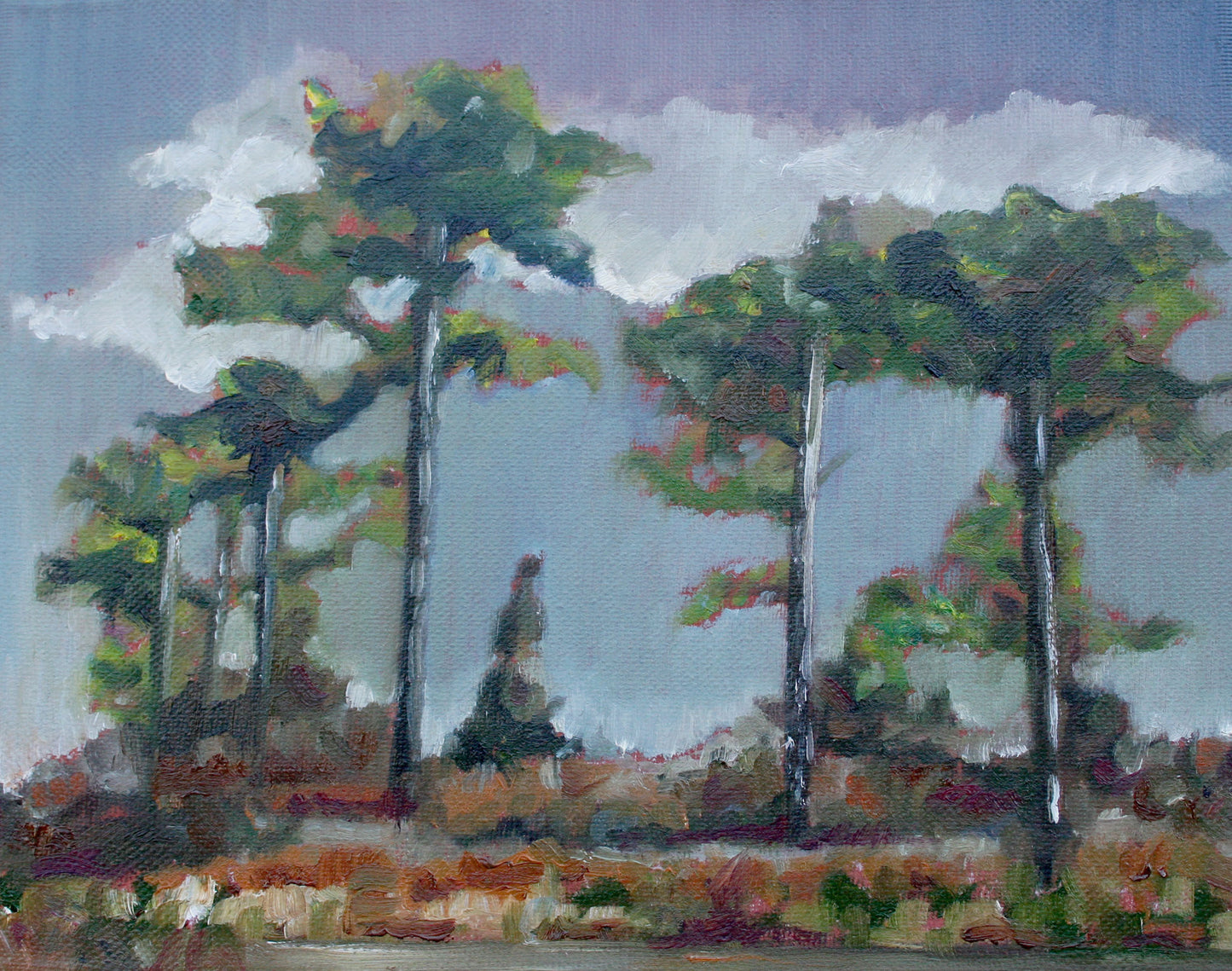 CARRIE GOLLER PRINTS - SEA, CITY, LANDSCAPES - Fort Warden Trees