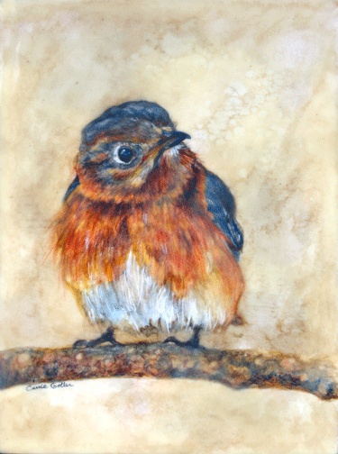 Prints available, original ***SOLD*** Frank 12x9 watercolor/encaustic - NOW ON DISPLAY AT BAINBRIDGE ISLAND MUSEUM OF ART AS PART OF CARRIE GOLLER'S CREATURES COMFORT SOLO EXHIBIT THRU 9/30/18