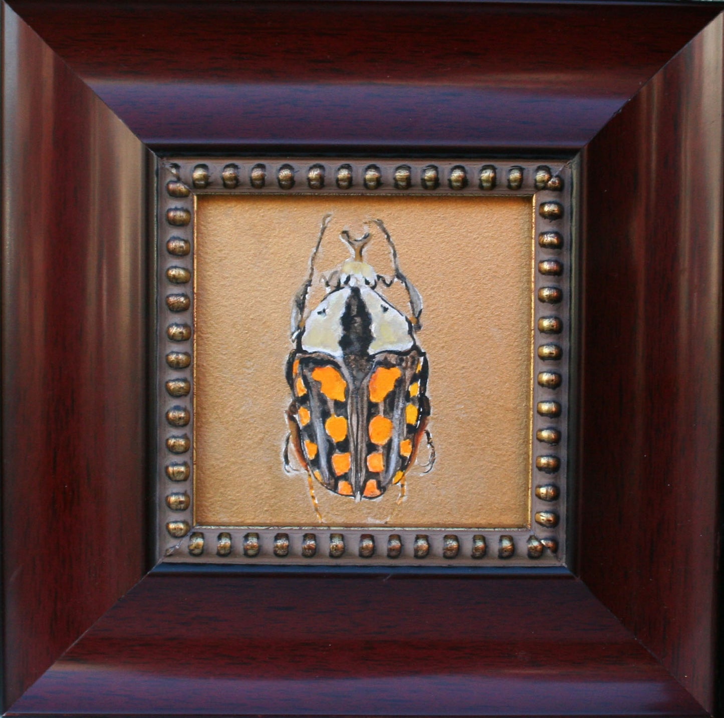 ***SOLD*** Carrie Goller - Gold Bug (Amaurodes Passerinii), Egg Tempera 4x4 (framed)