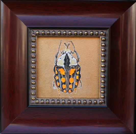 ***SOLD*** Carrie Goller - Gold Bug (Amaurodes Passerinii), Egg Tempera 4x4 (framed)