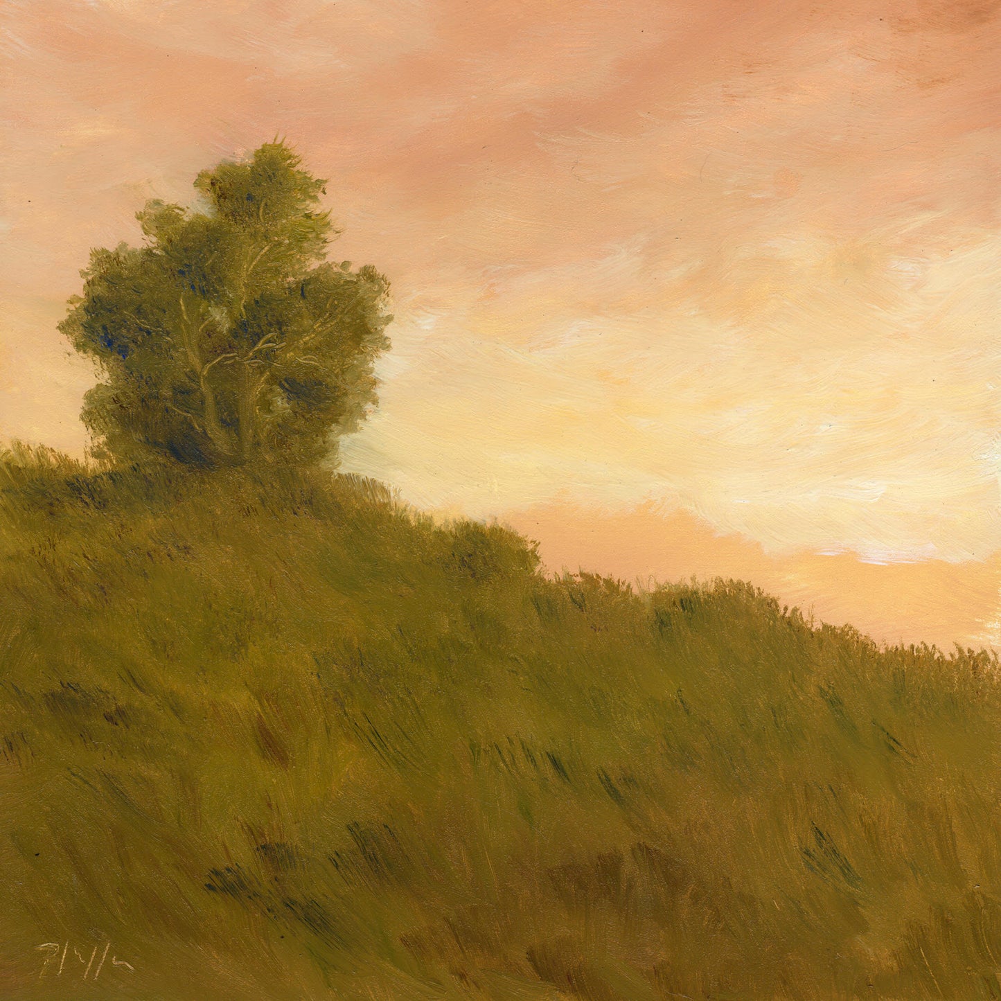 TIM PFEIFFER - Good Morning, oil on panel, 8x8 (framed)