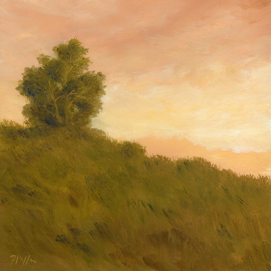 TIM PFEIFFER - Good Morning, oil on panel, 8x8 (framed)