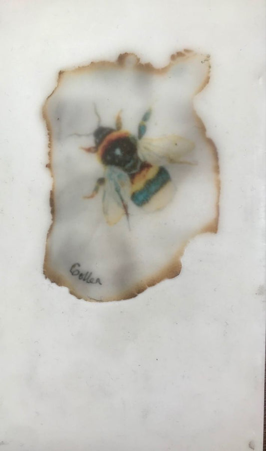Carrie Goller - Bumble Bee No.3, miniature encaustic giclee print with gold leaf,  3 x 4.75