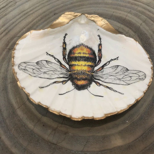 Hood Canal Seashell -  Bee, Medium Clam with 18k Gold Trim - Carrie Goller