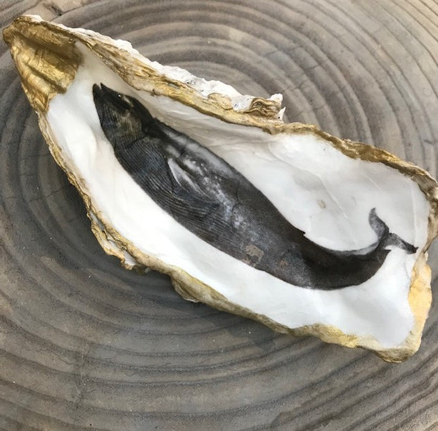 Hood Canal Double Seashell -  Whale and Octopus, Large Oyster Shell with 18k Gold Trim - Carrie Goller