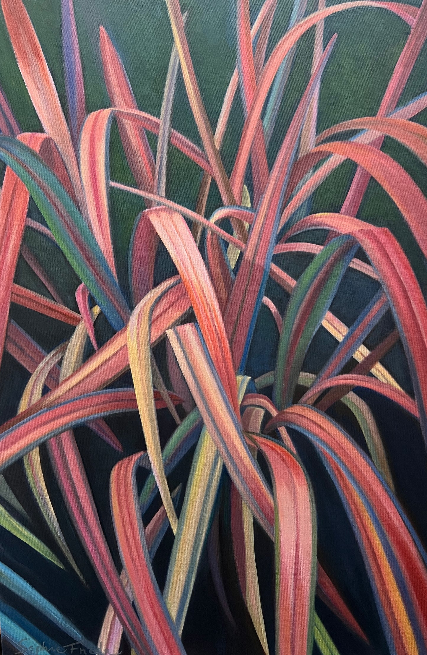 SOPHIE FRIEDA - Letting Go, oil on canvas, 36x24