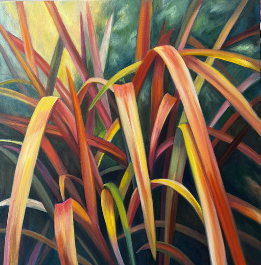 SOPHIE FRIEDA - "West Sound, Garden Glow", oil on canvas, 24x24
