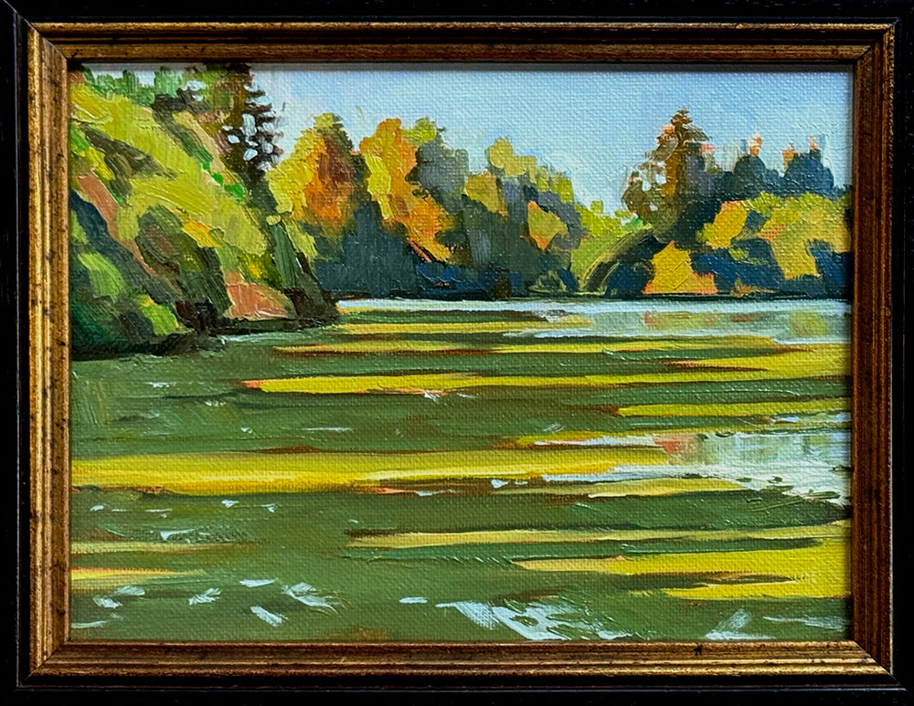 MAURY WEISS - Green Lake Lilies, Original Plein Air Oil on Panel,  6" x 8"
