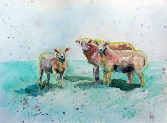 Prints available, original ***SOLD*** Judging Ewe II - original 9x12 watercolor in black frame