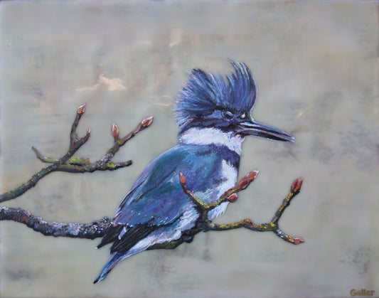 Prints available, original ***SOLD*** Carrie Goller - All Hail the Kingfisher, mixed medi - oil/encaustic 11x14